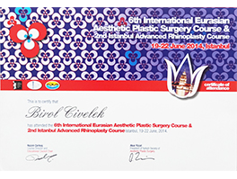 Birol-2